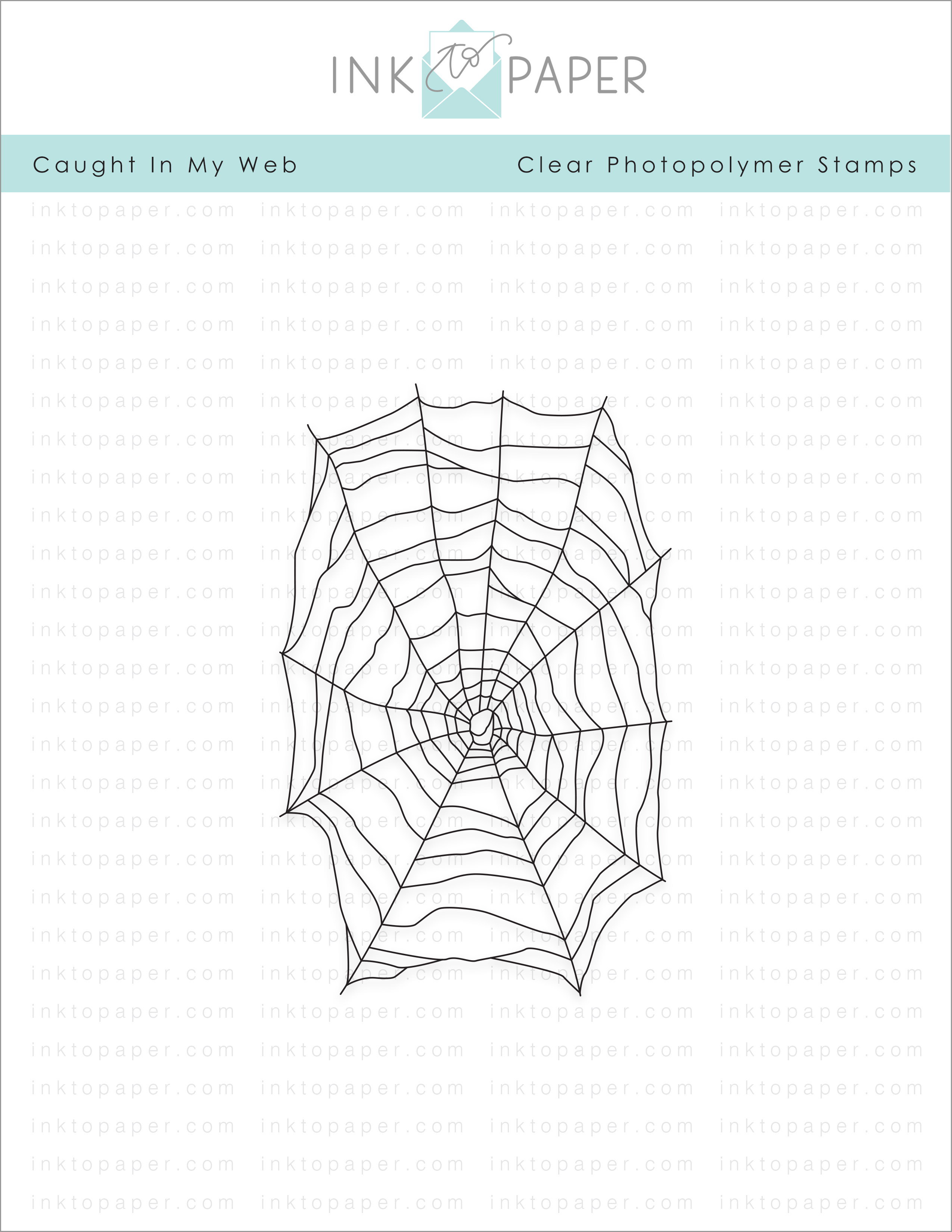 Caught In My Web Stamp Set