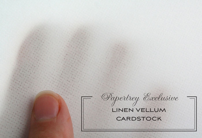 Paper Basics - Linen Vellum Cardstock (12 Sheets)