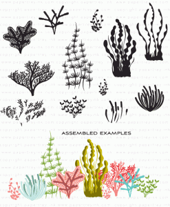 Salt Air: Flora Stamp Set