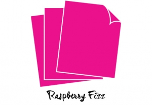 Perfect Match Raspberry Fizz Cardstock (24 sheets)