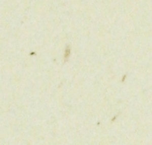 Paper Basics - Rustic Cream Cardstock (24 Sheets)