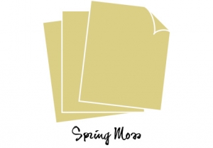 Perfect Match Spring Moss Cardstock (12 sheets)