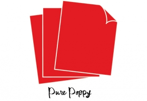 Perfect Match Pure Poppy Cardstock (12 Sheets)