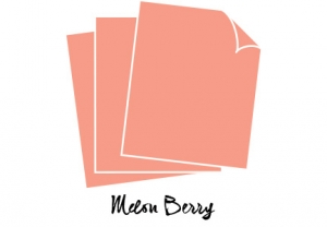 Perfect Match Melon Berry Cardstock (12 sheets)