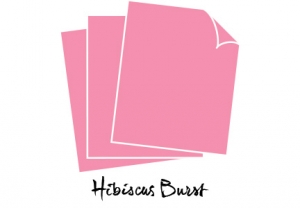 Perfect Match Hibiscus Burst Cardstock (12 sheets)