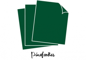 Perfect Match Pinefeather Cardstock (12 sheets)