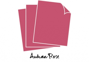 Perfect Match Autumn Rose Cardstock (12 sheets)