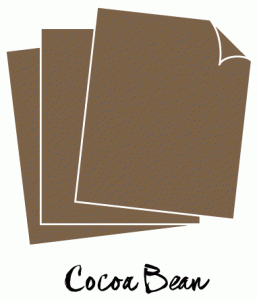 Perfect Match Cocoa Bean Cardstock (12 Sheets)