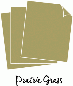 Perfect Match Prairie Grass Cardstock (12 Sheets)