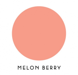 Papertrey Ink Felt - Melon Berry