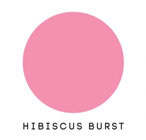 Papertrey Ink Felt - Hibiscus Burst