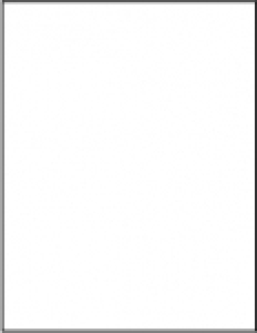 Paper Basics - Stamper's Select White Cardstock (40 Sheets)