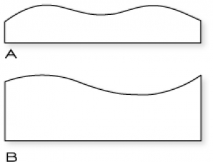 Papertrey Ink - In the Meadow Die Collection (set of 2)