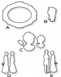 Papertrey Ink - Simply Jane Die Collection (set of 5)