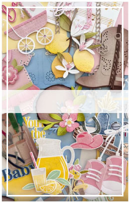 1 1/2" Scor-Tape (27 yards)