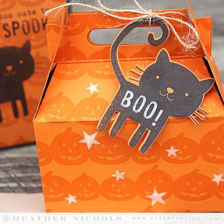 Papertrey Ink - Gable Box Die